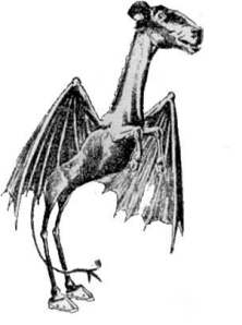 Meet (supposedly) The Jersey Devil