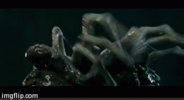 Slo-Mo Facehugger